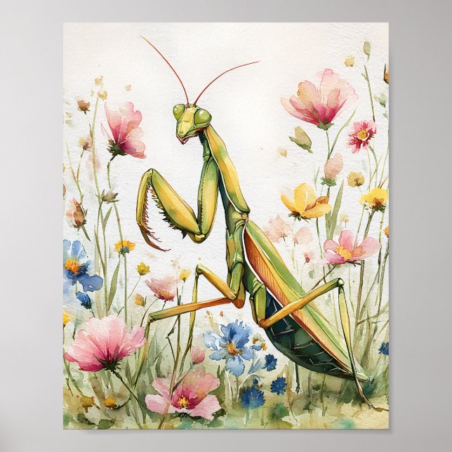 Aquarelle de Mantis de fleurs Impression - Mantis  (Devant)