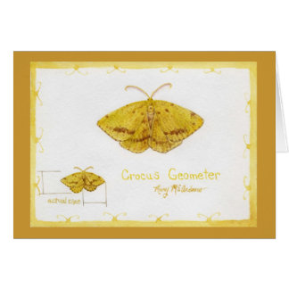Aquarelle de mite de géomètre de crocus