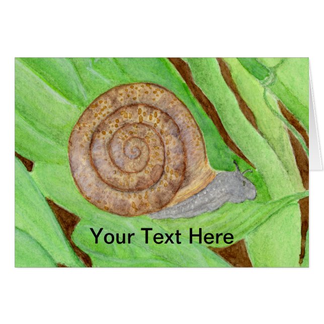 Aquarelle des escargots (Devant horizontal)