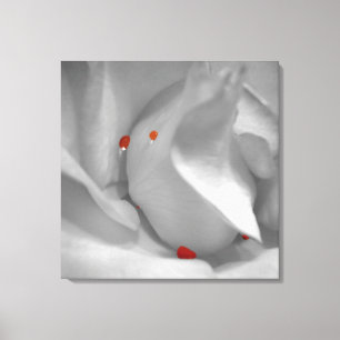 Aquarelle Eolienne toile Imprimer