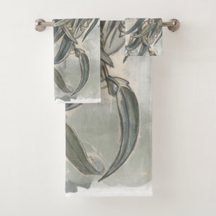 Aquarelle Eucalyptus Verdure Feuille