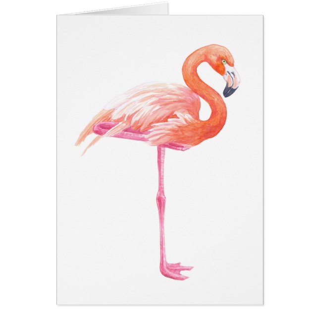 aquarelle Flamant rose (Devant)