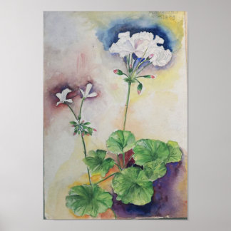 Aquarelle Fleur Blanche – Impression d'art botaniq
