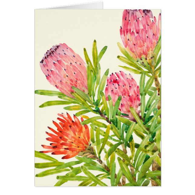 Aquarelle Fleurs tropicales (Devant)