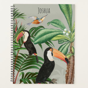 Aquarelle Forêt tropicale et Oiseaux du Toucan