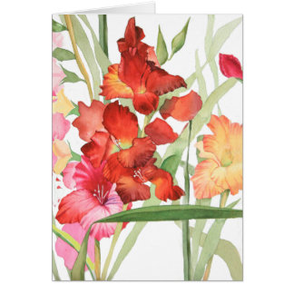 Aquarelle Gladiolas