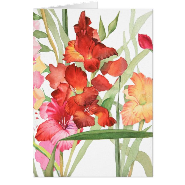 Aquarelle Gladiolas (Devant)