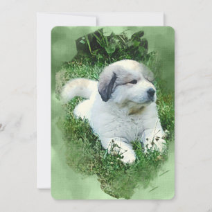 Aquarelle Grand Pyrénées Chiot - Relaxant
