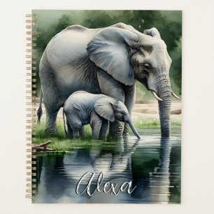 Aquarelle Illustration de maman et bébé éléphant