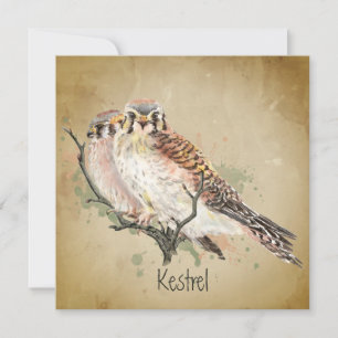 Aquarelle Kestrel Falcon Faune Oiseau Art