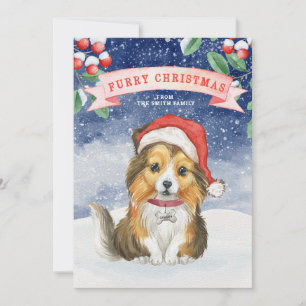 Aquarelle Noël Sheltie Furie Carte de Noël