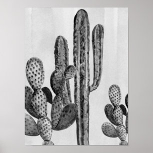 Aquarelle noir blanc Cactus Poster sud-ouest