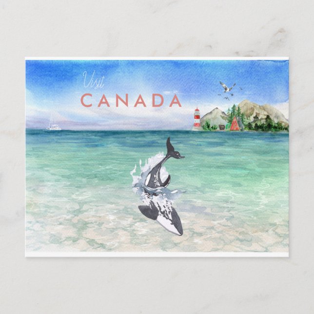 Aquarelle Orca | Carte postale Vintage voyage Cana (Devant)