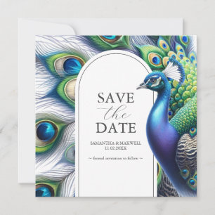 Aquarelle Peacock Mariage Enregistrer Les Cartes D