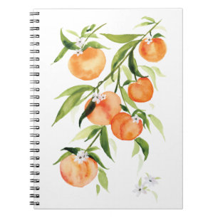 Aquarelle pêche fruit d'été Carnet spiral