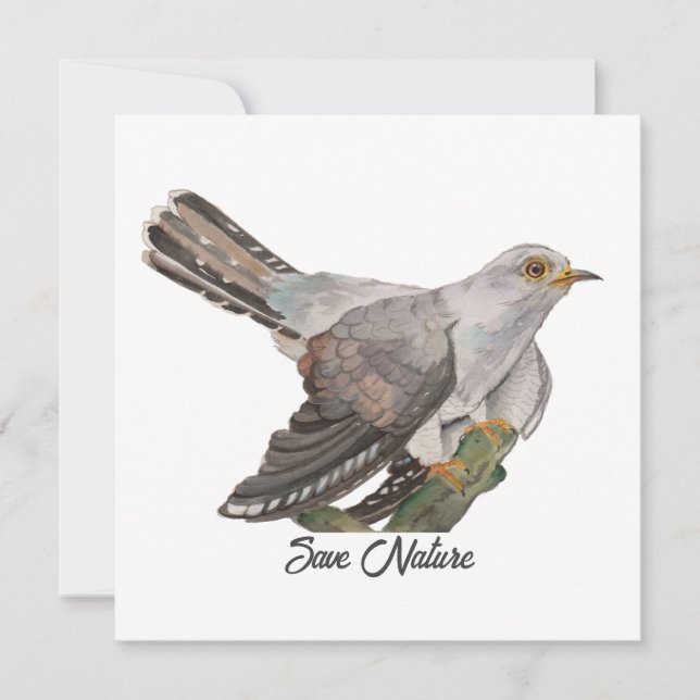 Aquarelle peignant un coucou (Devant)