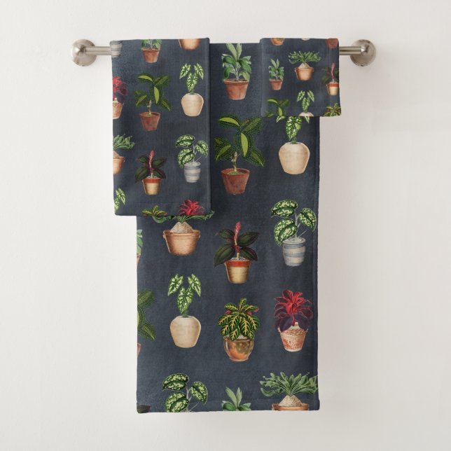 Aquarelle Pointe Plante Terracotta Pots Rustique (En situation)