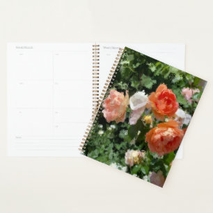 Aquarelle Rose orange