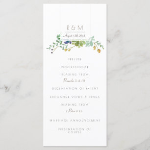 Aquarelle Succulente Initiale Programme