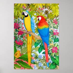 Aquarelle Tropical Macaw Parrots Poster