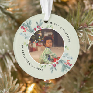 Aquarelle Végétation d'hiver 2 Photos