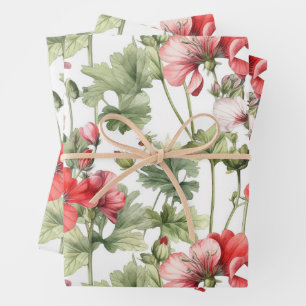 Aquarelle Vintage Fleurs de géranium et Feuilles