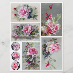 Aquarelle vintage Rose Peintures de C. Klein