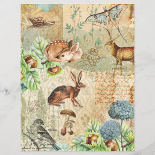 Aquarelle Woodland Forest Animaux Livre papier