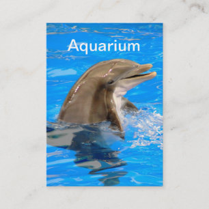 Aquarium Carte de visite avec dauphin