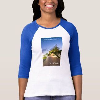 Aquarium dans le 'Noog 3/4 T-shirt de raglan de