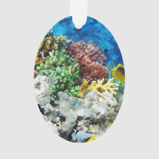 Aquarium de corail