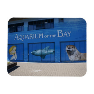 Aquarium SF de la Baie Magnet