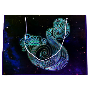 aquarius le transporteur d'eau zodiac sac cadeau