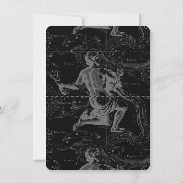 Aquarius Zodiac Constellation Hevelius 1690 (Devant)