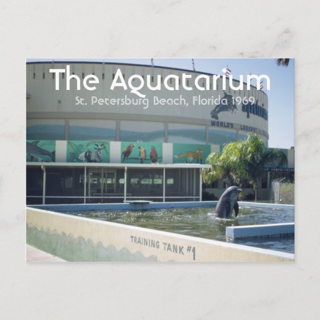 Aquatarium St Pete Beach Floride Carte postale (Devant)