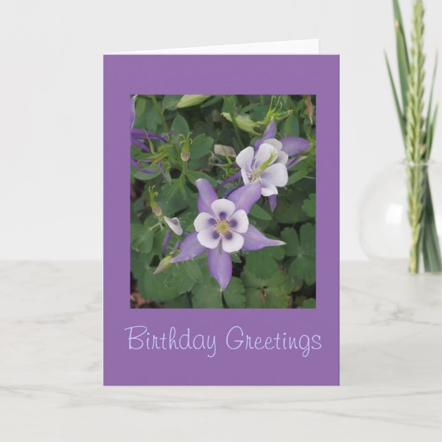 Aquilegia - Columbine Carte d'anniversaire (Devant)