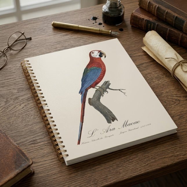 Ara chloroptère (Red-and-green Macaw, Ara chloropterus. Planner)