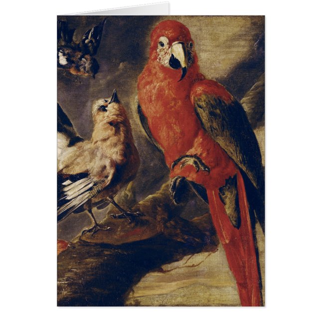 Ara et bouvreuil (Devant)
