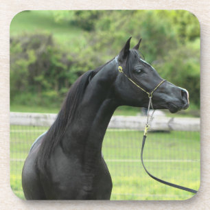 Arabe de noir sur des dessous de verre