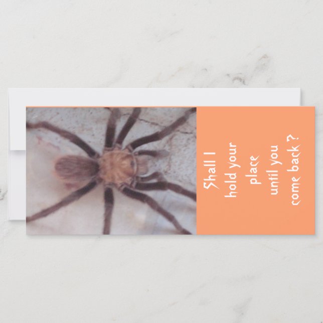 Arachnid Association Signet (Devant)