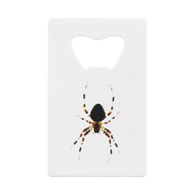 Araignée (Devant)
