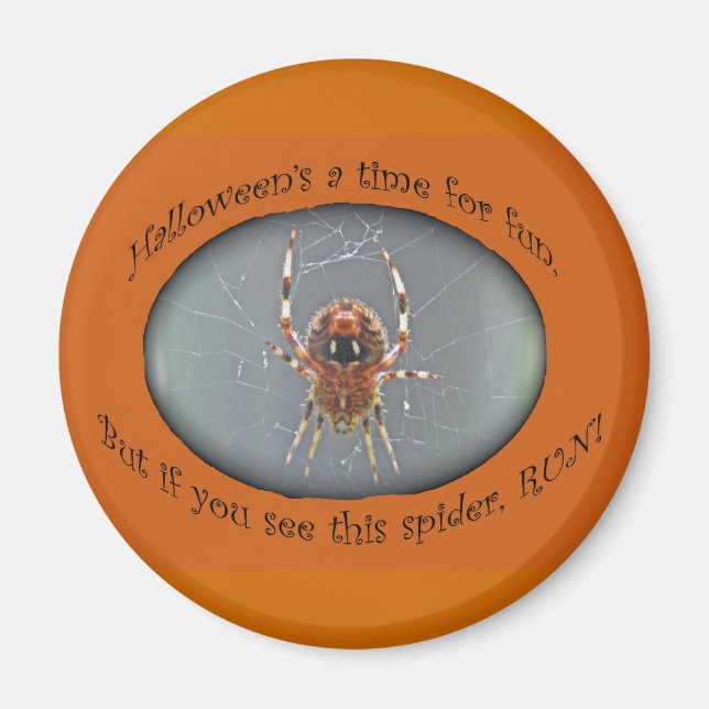Araignée Araneus Orb Weaver Magnet Halloween (Devant)