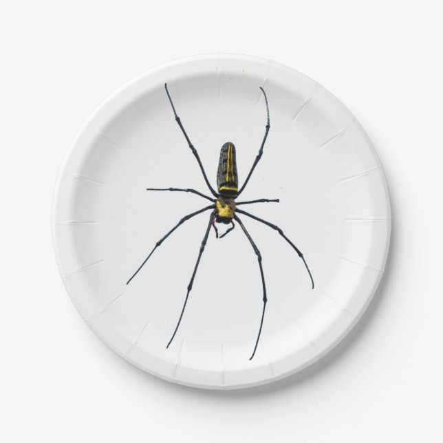 Araignée d'Halloween sur assiette en papier (Devant)