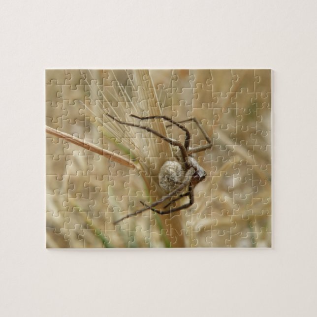 Araignée et Puzzle Oeuf Sac (Horizontal)