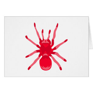 Araignée (rouge)