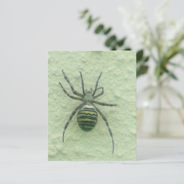 Araignee spider (Debout devant)