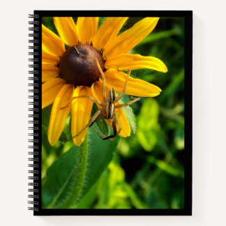 Araignée sur tournesol 8,5 x 11 Carnet spiral
