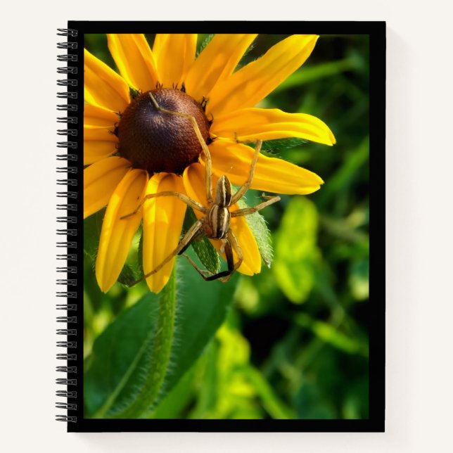 Araignée sur tournesol 8,5 x 11 Carnet spiral (Devant)