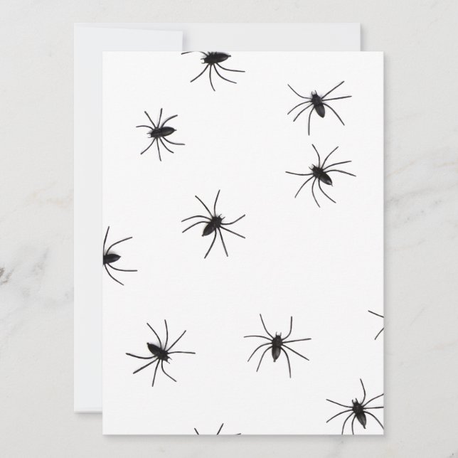 araignées (Devant)