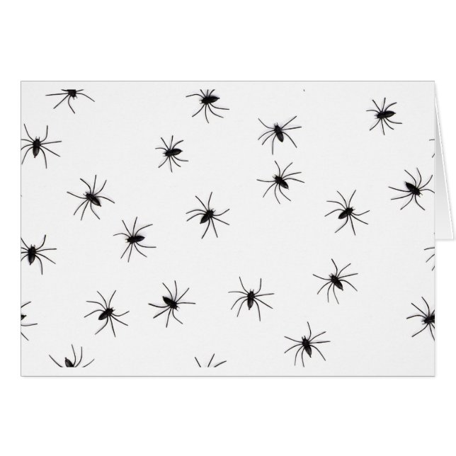 araignées (Devant horizontal)